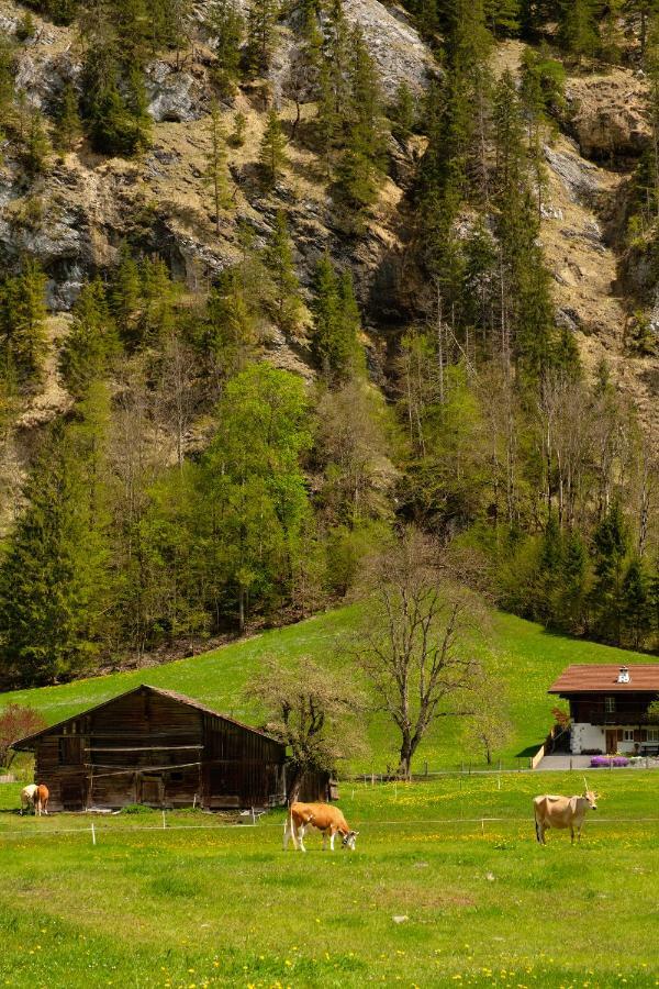 Апартаменты Hafod A Hendre Лаутербруннен Экстерьер фото
